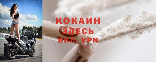 прущий лед Богданович