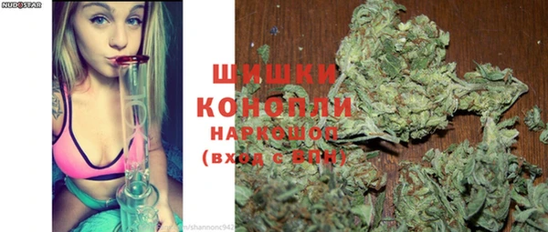 прущий лед Богданович