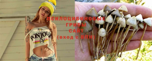 прущий лед Богданович