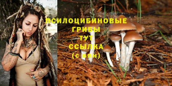 прущий лед Богданович