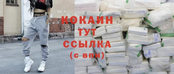 прущий лед Богданович